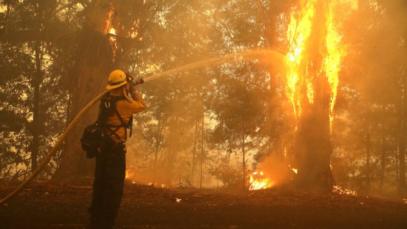 Un bombero rocía agua sobre un árbol en llamas mientras lucha contra el incendio de Kincade el 27 de octubre de 2019 en Windsor, California. (Justin Sullivan / Getty Images)