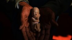 Planned Parenthood suspende abortos en ciudad de Texas al entrar en vigor ordenanza de «ciudad santuario»