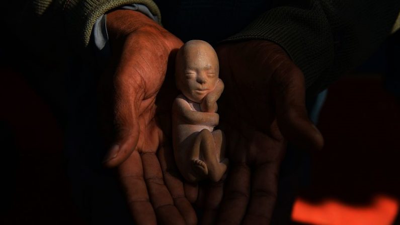 Imagen de archivo de la recreación de un feto. (Chandan Khanna/AFP/Getty Images)