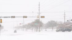 Rara tormenta de nieve otoñal cubre de blanco a un pueblo de Texas