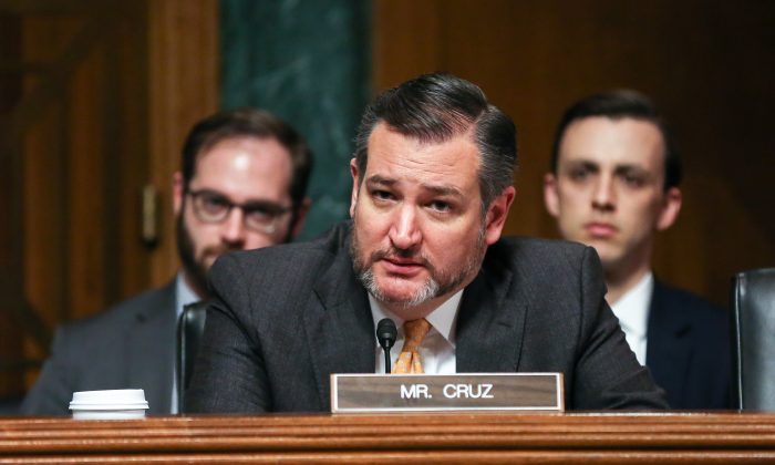 El senador republicano de Texas, Ted Cruz, en una audiencia del Comité Judicial del Senado en Washington el 12 de diciembre de 2018 (Jennifer Zeng / The Epoch Times)