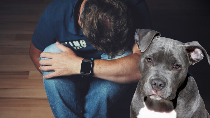 Perro y su amo deprimido. Imagen ilustrativa. (HolgersFotografie|Momentmal/Pixabay)