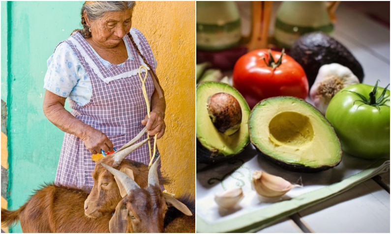 Humilde Abuelita Mexicana Se Convierte En Exitosa Youtuber Enseñando Recetas De Cocina 