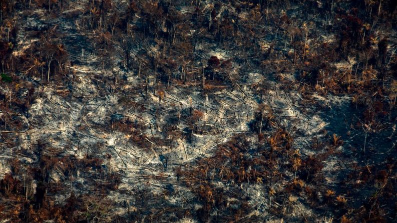 Vista aérea do desmatamento na Reserva Biológica Nascentes da Serra do Cachimbo em Altamira, Pará, Brasil, na bacia amazônica, em 28 de agosto de 2019 (Foto por JOAO LAET / AFP / Getty Images)