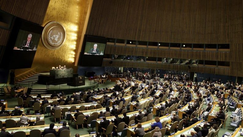 Vista da Assembléia Geral das Nações Unidas (EFE / Jason Szenes / Arquivo)