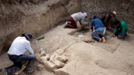 Familia mexicana descubre colmillos de un mastodonte de 10.000 años cuando ‏construía un horno
