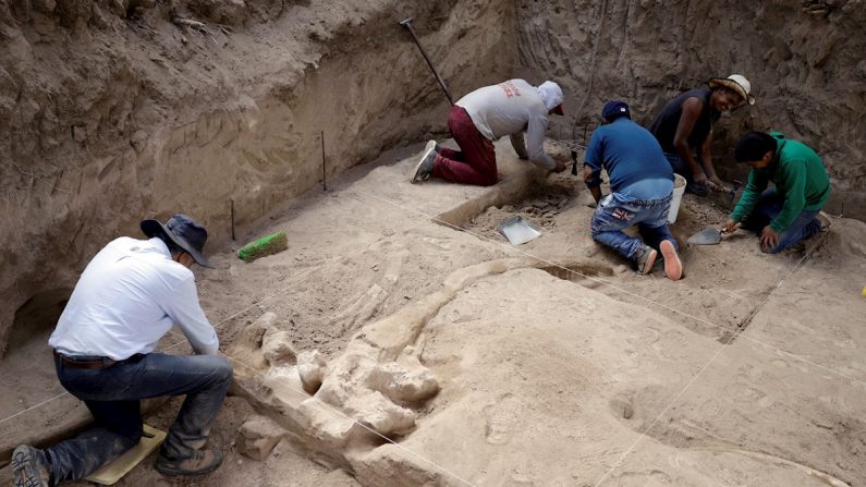 Expertos del Instituto Nacional de Antropología e Historia (INAH) trabajan en el hallazgo de restos fósiles en la comunidad de San José Buenavista en el estado de Puebla (México). EFE/Hilda Ríos 
