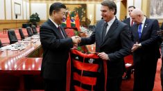Bolsonaro e Xi decidem fortalecer e diversificar ‘associação estratégica’