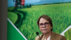 Agronegócio brasileiro é o mais sustentável do mundo, diz ministra