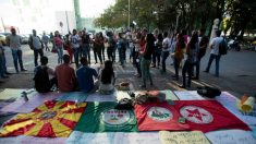 Viés esquerdista das universidades brasileiras é principal fator de destruição do país, diz pesquisador (Vídeo)