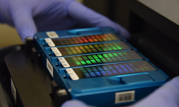 Un técnico coloca una micromatriz o genechip que contiene información de ADN en un escáner en un laboratorio de genética chino en Beijing, China, el 22 de agosto de 2018. (Greg Baker/AFP/Getty Images)
