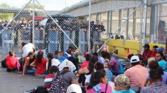 Fuerzas Armadas rescatan a 61 migrantes en Tamaulipas