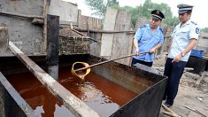 Los norcoreanos ya no confían en los alimentos contaminados importados de China