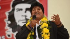 Morales é “reeleito” para 4º mandato e OEA aponta indício de fraudes