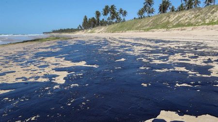 Ibama e Marinha dizem que ineditismo afeta contenção de óleo em praias