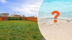 Imagina tener tu propia playa privada en el patio trasero de tu casa. ¡Ésta compañía puede hacerlo!