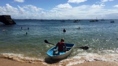 Óleo em praias brasileiras tem origem venezuelana