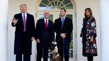 «Chico listo»: Trump rinde homenaje al perro héroe herido durante la redada de Baghdadi