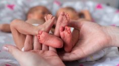 Mulheres pensam que ‘filhotes’ estão chorando, mas encotram gêmeos com cordões umbilicais no Paraná