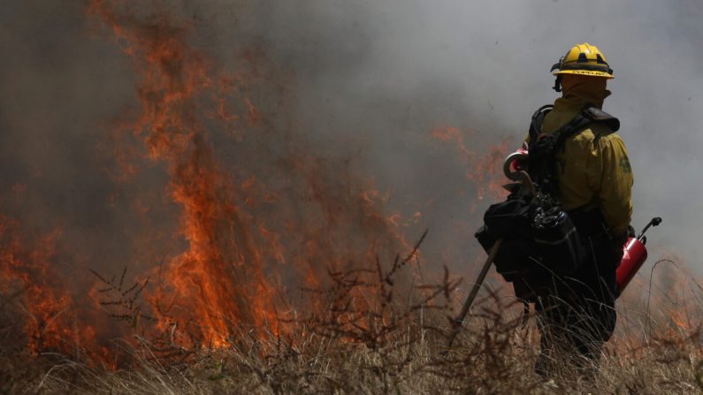 Un bombero del Departamento de Bomberos del Condado de Marín se para cerca de una maleza en llamas durante un entrenamiento de quemaduras controladas en San Rafael, California, el 19 de junio de 2019. (Justin Sullivan/Getty Images)