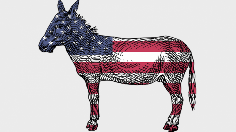 Un burro del Partido Demócrata es mostrado con la bandera americana. (Pixabay)