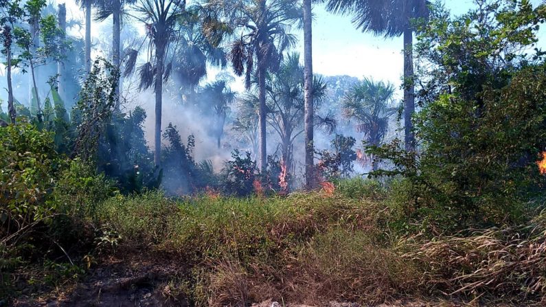 Incendio en Alter do Chão el 15 de septiembre de 2019. (Brigada de Bomberos Militar de Para)