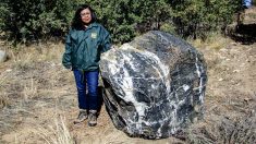 Roca del Mago de 1 tonelada reaparece “magicamente” en el Bosque Nacional Prescott de Arizona