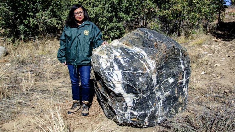 Roca del Mago (Wizard Rock) reaparecel el 1 de noviembre en el Bosque Nacional Prescott de Arizona (Bosque Nacional Prescott)