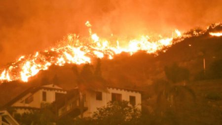 Cómo una familia luchó para proteger su hogar durante el incendio forestal de Woolsey