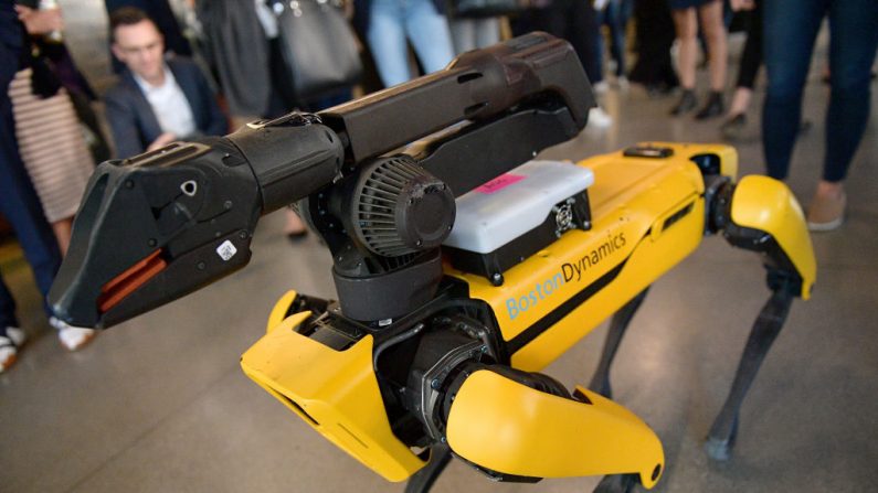 El robot SpotMini de Boston Dynamics en exhibición en WIRED25 Summiton en San Francisco, California, el 15 de octubre de 2018. (Matt Winkelmeyer / Getty Images para WIRED25)
