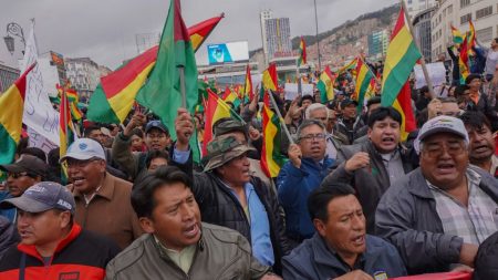 ¿Cómo reaccionó Bolivia al informe de la OEA?