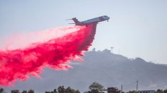 Nuevo incendio amenaza el sur de California, donde hay 7 fuegos activos