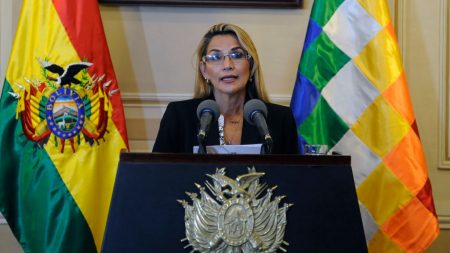 Un general asume temporalmente el Ministerio de Defensa en Bolivia