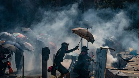 Casa Blanca condena «uso indebido de la fuerza» de la policía de Hong Kong tras cientos de arrestos