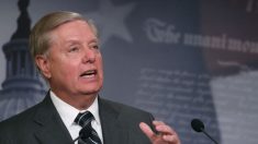 Senador Graham dice que prefiere ir a Siria que a algunas partes de México
