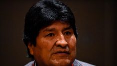 Bolivia envía carta de protesta a México tras vídeo en que Morales aparecería conspirando