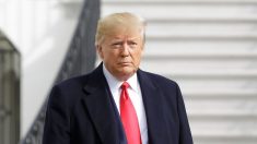 «El apoyo al impeachment está cayendo como una roca», dice Trump