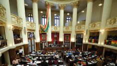 Bolivia: Legisladores analizan propuestas de ley para nuevas elecciones