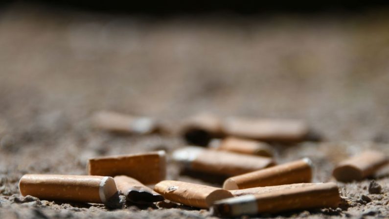 Las colillas de cigarrillos aparecen en un parque público en Estrasburgo (SEBASTIEN BOZON/AFP vía Getty Images)