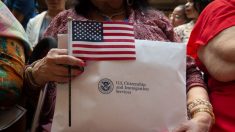 Costos de obtener la ciudadanía estadounidense casi se duplicarán en 2020