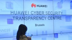 Senadores urgen al presidente Trump a evaluar el riesgo de seguridad de Huawei para EE.UU.