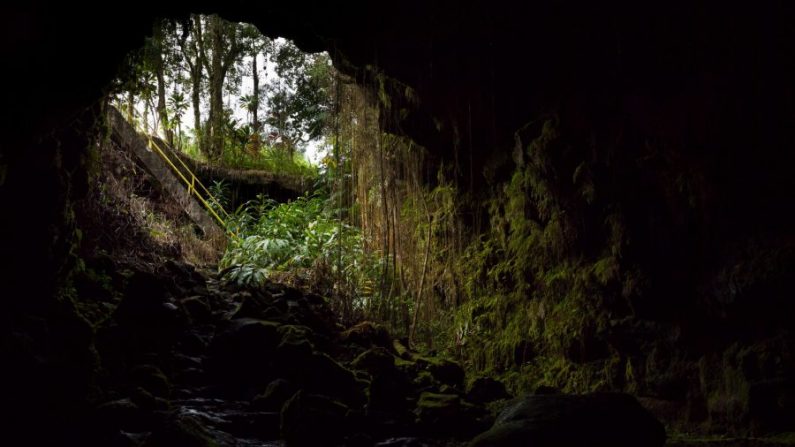 Un tubo de lava en el parque de cavernas de Kaumana cerca de Nilo, Isla de Hawaii (John Loo/Flickr [CC BY 2.0 (ept.ms/2haHp2Y)])