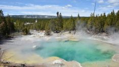 Área de Yellowstone experimenta 193 terremotos en un mes, dice informe