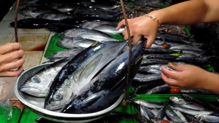 FDA emite alerta de novo surto de doença devido ao consumo de atum em decomposição