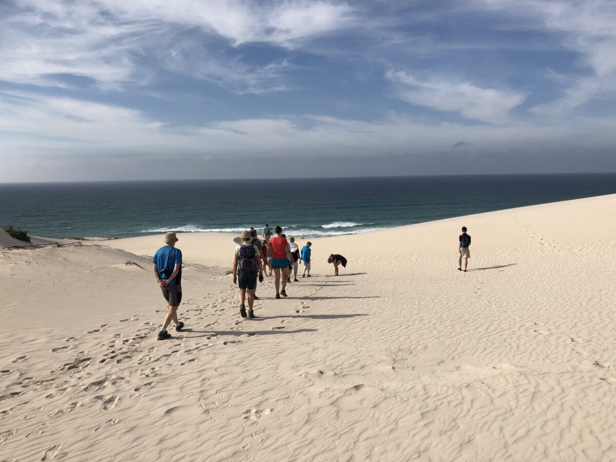 Paseo-playa-Africa-De-Hoop