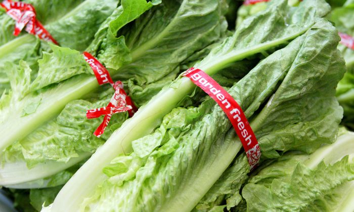 La lechuga romana ha sido identificada como la fuente de la bacteria E.coli (Justin Sullivan / Getty Images)