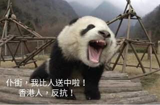 Este panda enojado fue publicado en Facebook por activistas estadounidenses a favor de Hong Kong durante el feriado de Acción de Gracias. Los pandas han sido utilizados por el régimen chino como una forma de diplomacia subversiva en el mundo occidental. (Facebook)