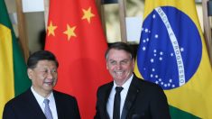 Brasil e China firmam acordos em áreas como política, comércio e saúde