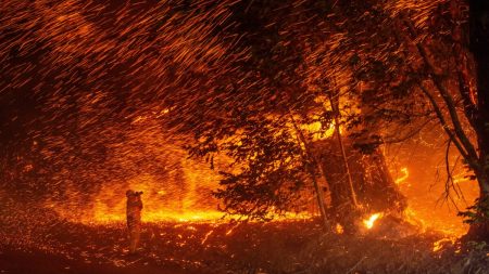 Miles de personas huyen de sus casas mientras los incendios se propagan por Santa Bárbara, California