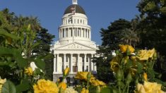 Miembro del Consejo de Familia de California dice que nueva ley pone en peligro a los niños adoptivos